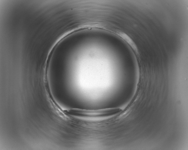 X0000069411052200605121236