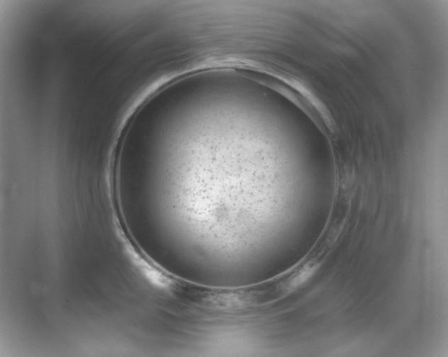 X0000069411054200605121236