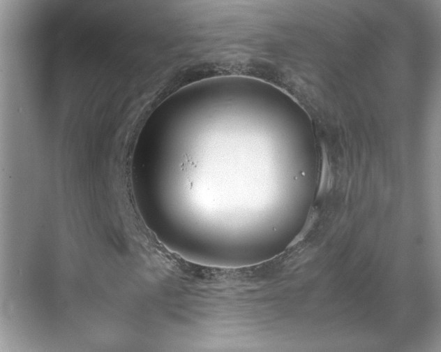 X0000069411057200605121235