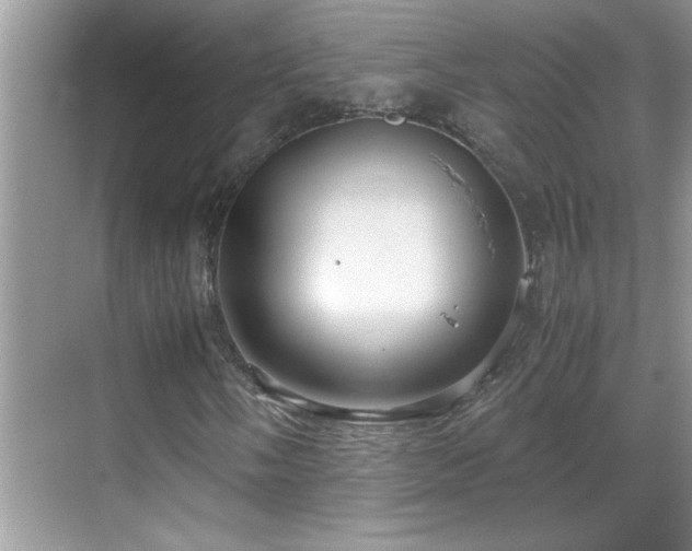 X0000069411058200605121235