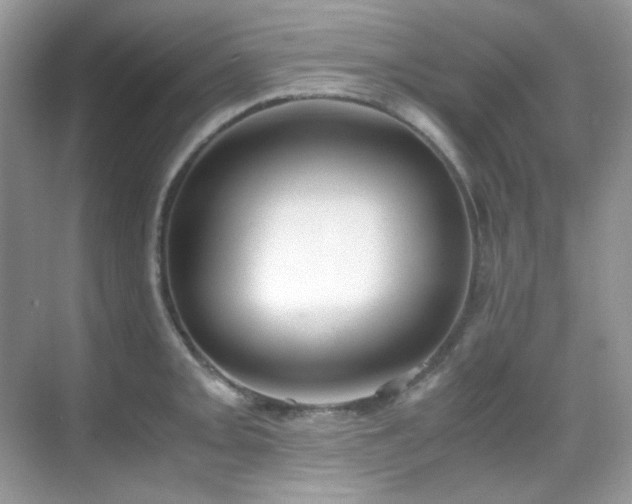 X0000069411093200605121235