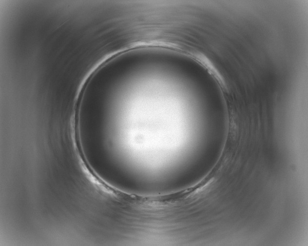 X0000069411100200605121235