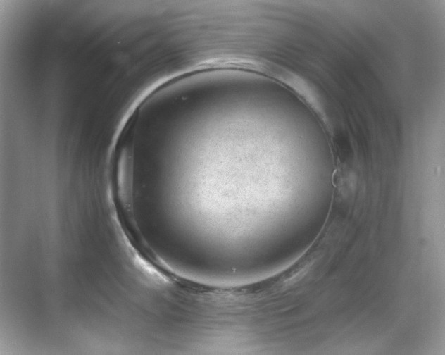 X0000069411102200605121235