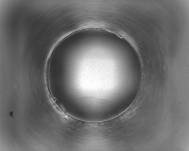 X0000069411104200605121234