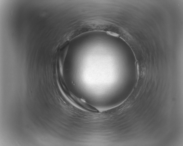X0000069411108200605121234