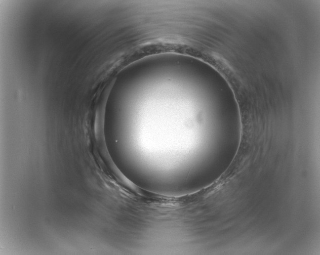 X0000069411110200605121234