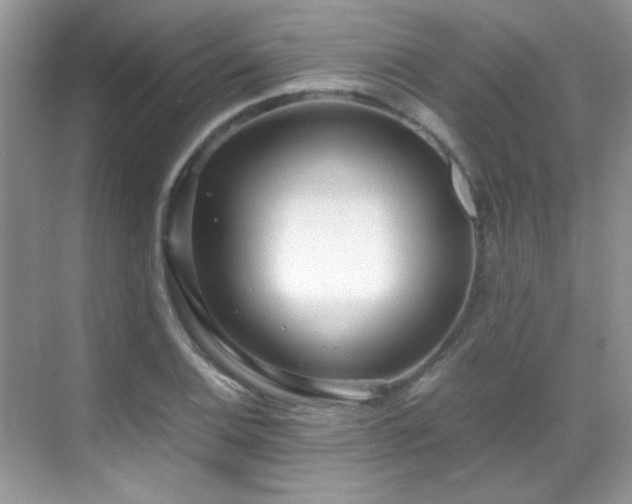 X0000069411124200605121234