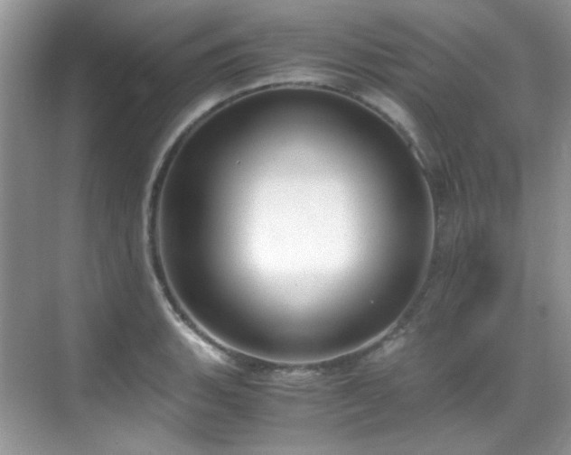 X0000069411135200605121234