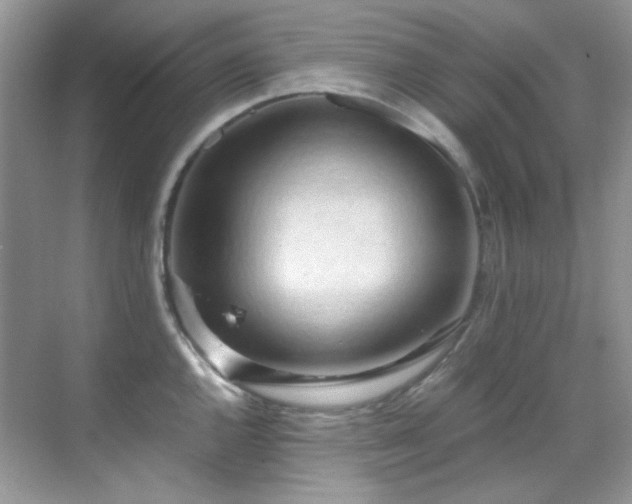 X0000069411144200605121234
