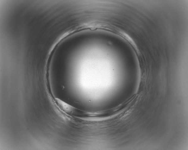 X0000069411146200605121234