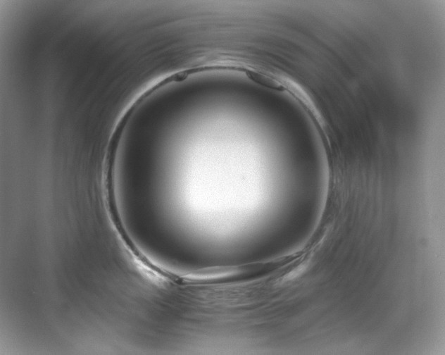 X0000069411149200605121234