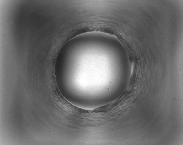 X0000069411153200605121234
