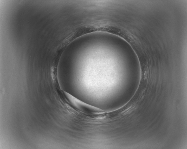 X0000069411156200605121234