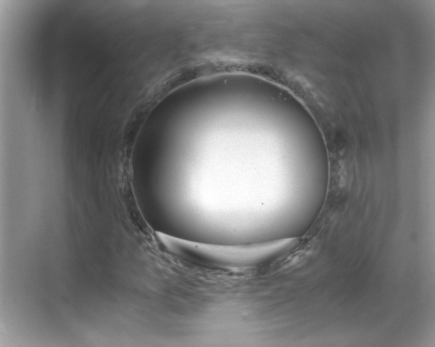 X0000069411157200605121234