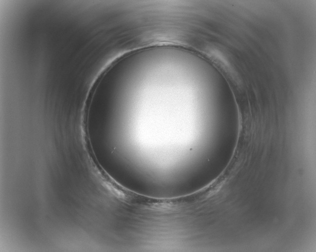 X0000069411182200605121233