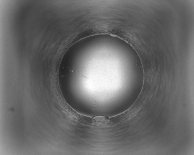 X0000069411201200605121232