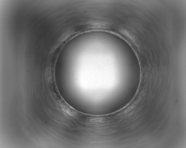 X0000069411211200605121232