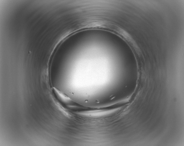 X0000069411234200605121233