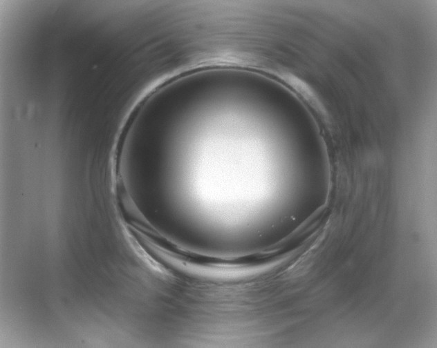 X0000069411238200605121233