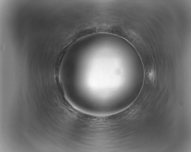 X0000069411252200605121232