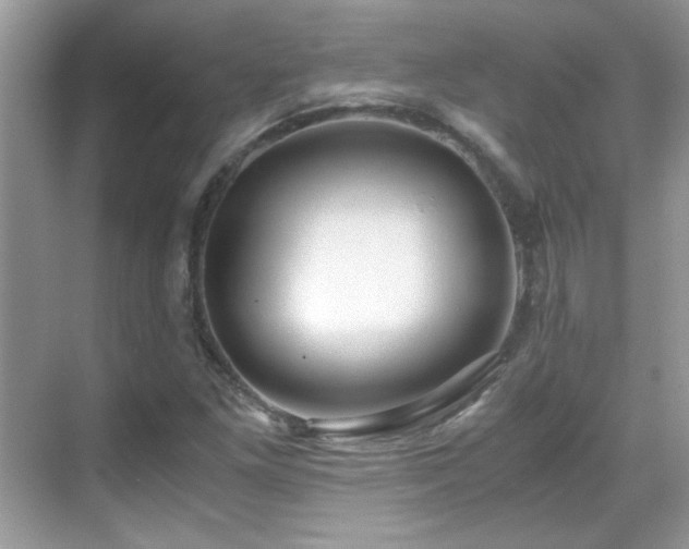 X0000069411261200605121232