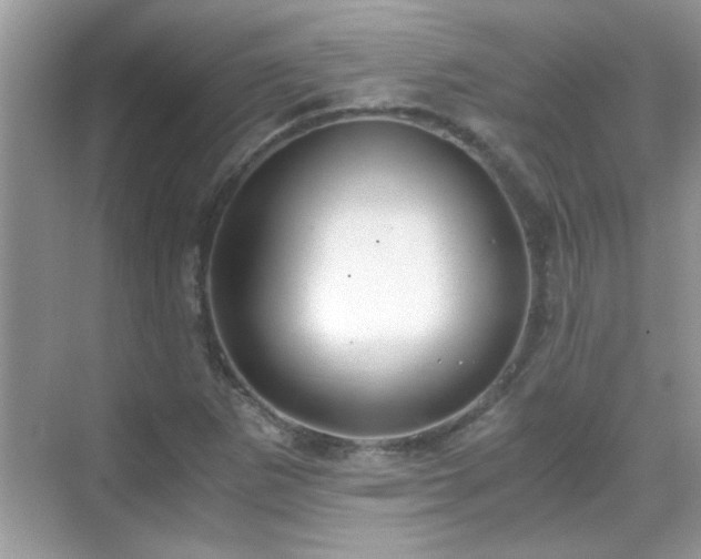 X0000069411265200605121232
