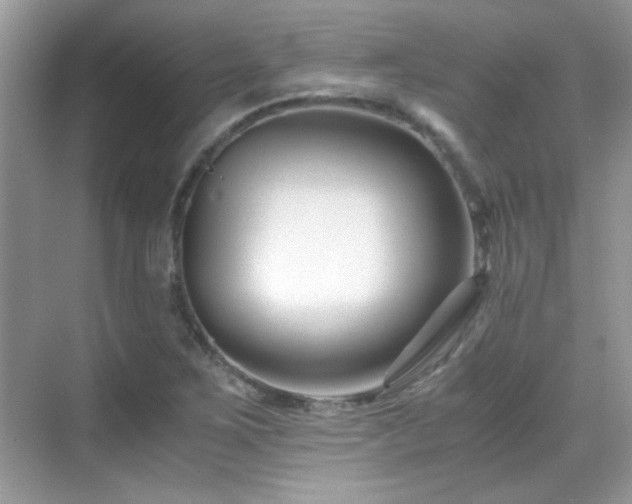 X0000069411267200605121232