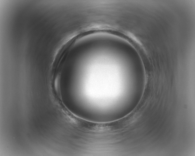 X0000069411269200605121232