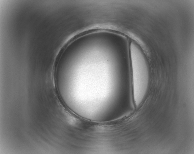 X0000069411272200605121232