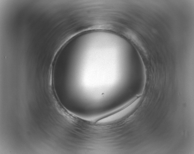 X0000069411276200605121232