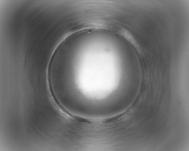 X0000069411283200605121231