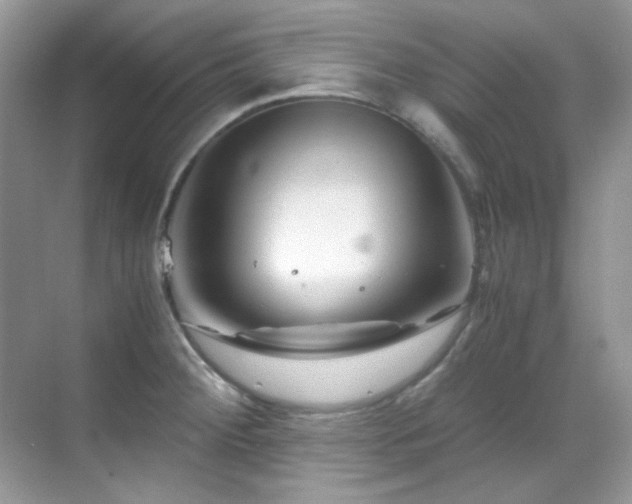X0000069411284200605121231