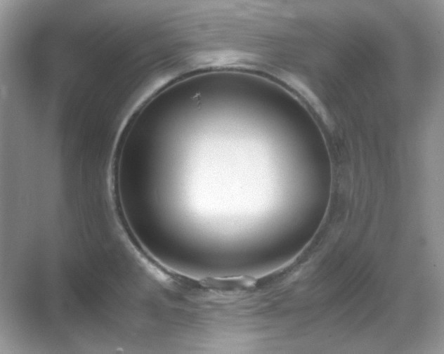 X0000069411285200605121231