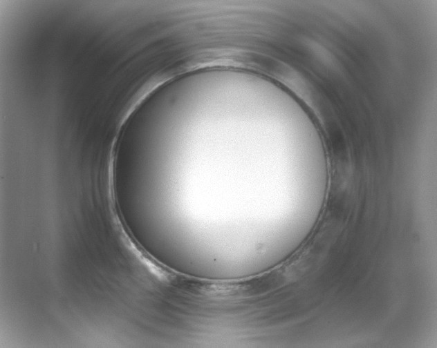 X0000069411290200605121231