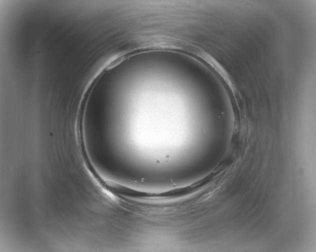 X0000069411293200605121231