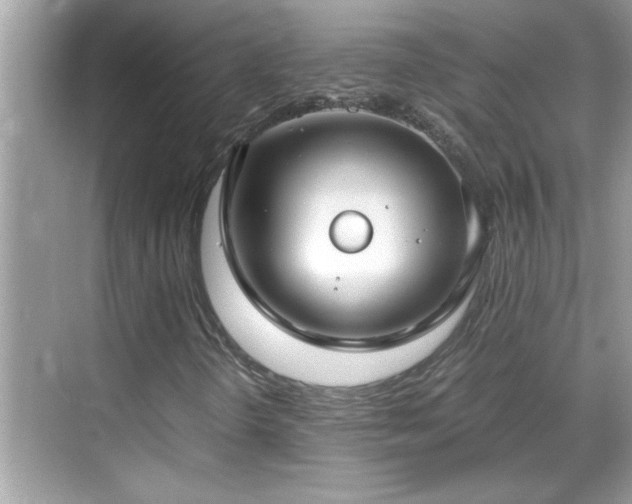 X0000069411298200605121230