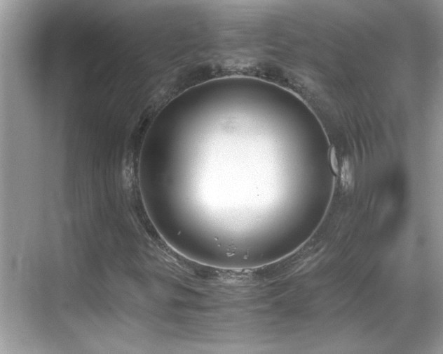 X0000069411299200605121230