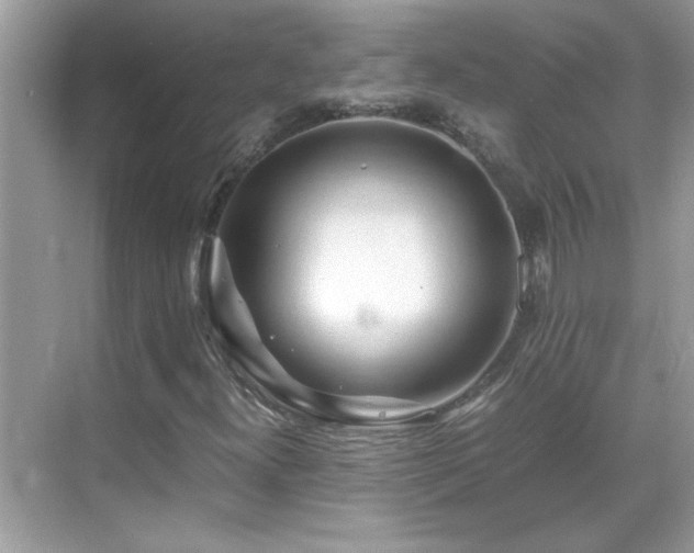 X0000069411300200605121231