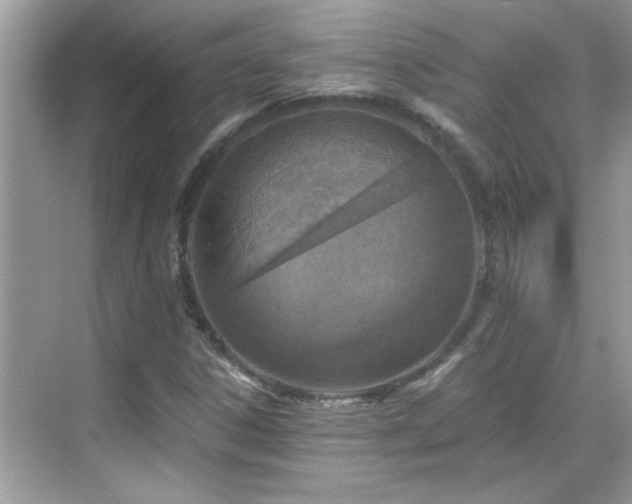 X0000069411306200605121231