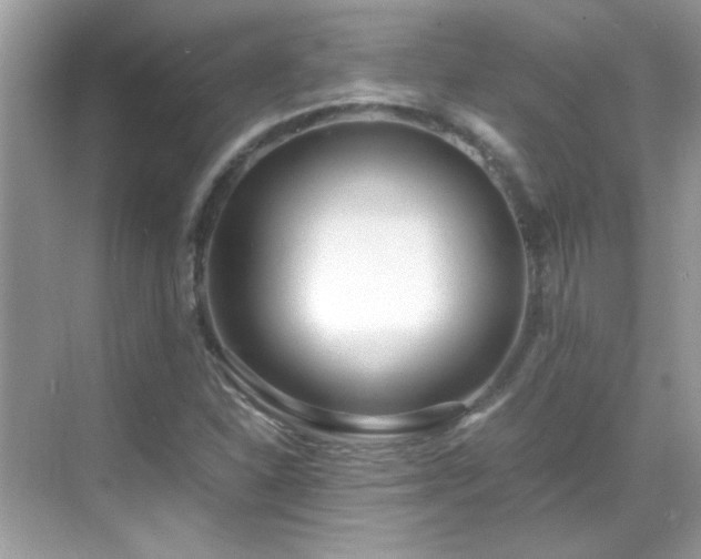 X0000069411310200605121231