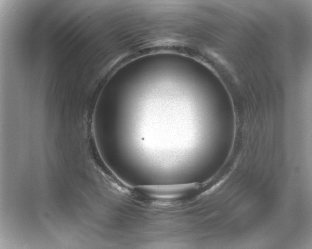 X0000069411313200605121231