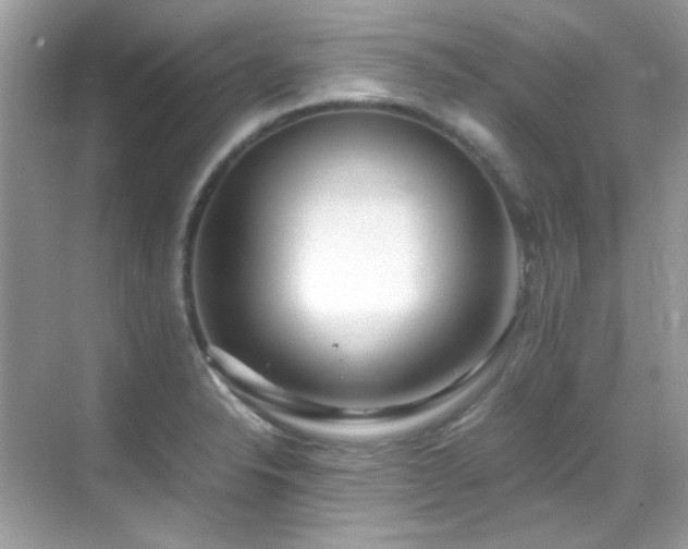 X0000069411326200605121231