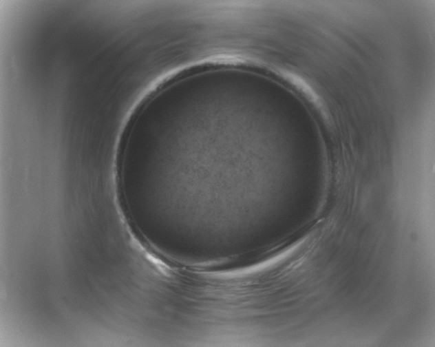 X0000069411327200605121231