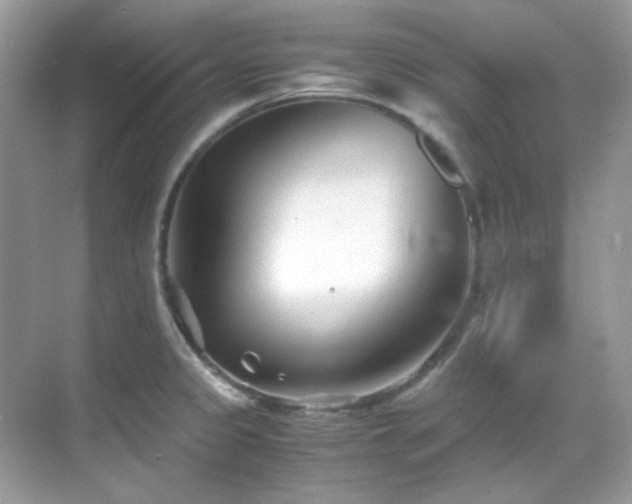 X0000069411333200605121231