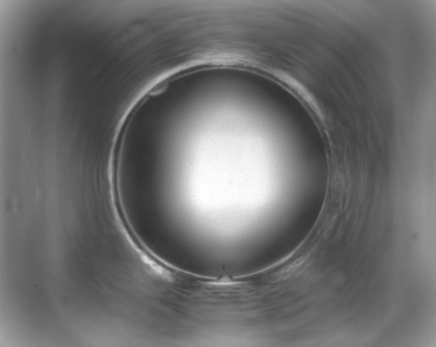 X0000069411343200605121231