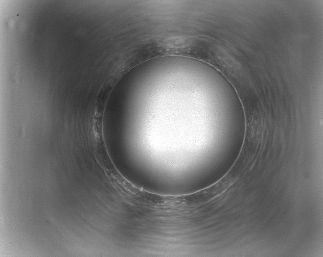 X0000069411346200605121230