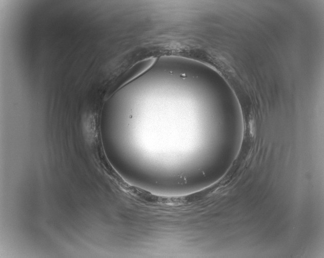 X0000069411347200605121230