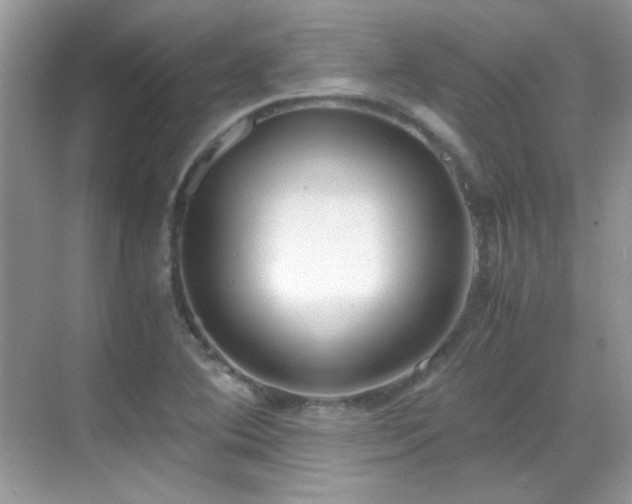 X0000069411364200605121230