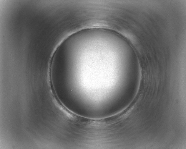 X0000069411374200605121230