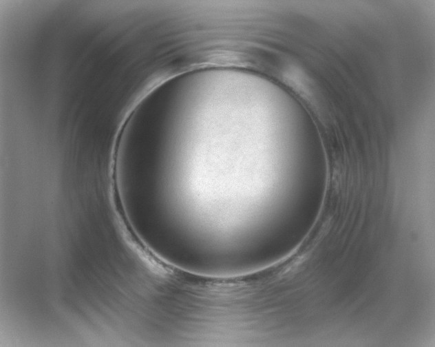 X0000069411378200605121230